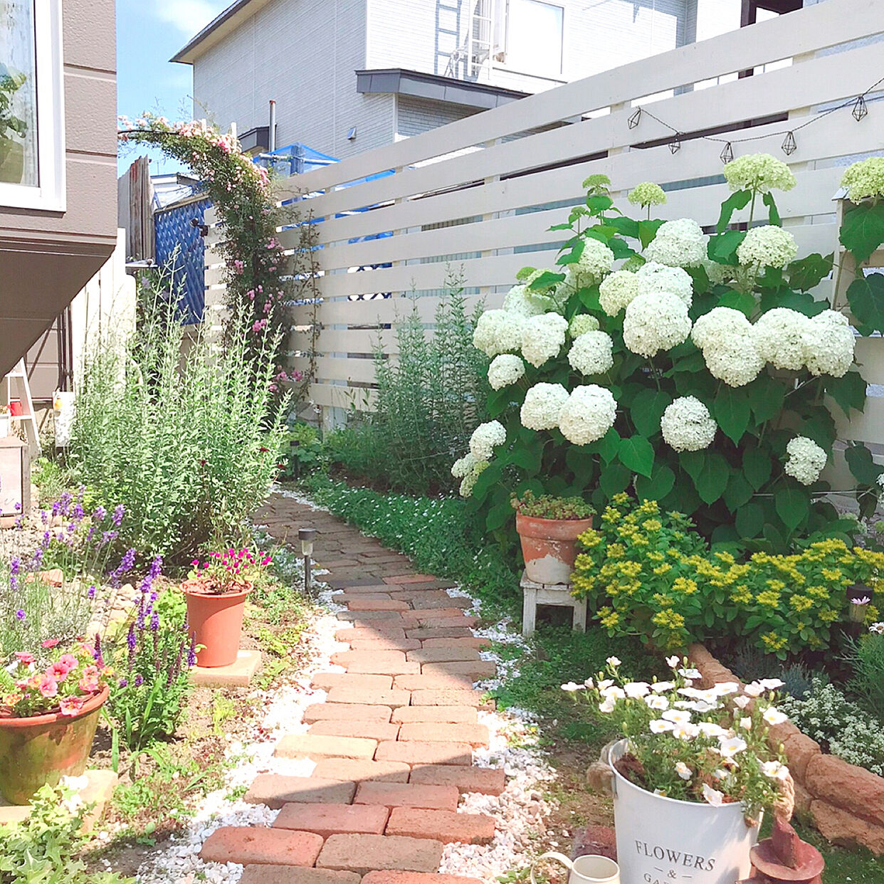 kotoriさん（Room No. 592730）美しい花と植物と白いウッドフェンスの組み合わせがロマンティックな印象のガーデン