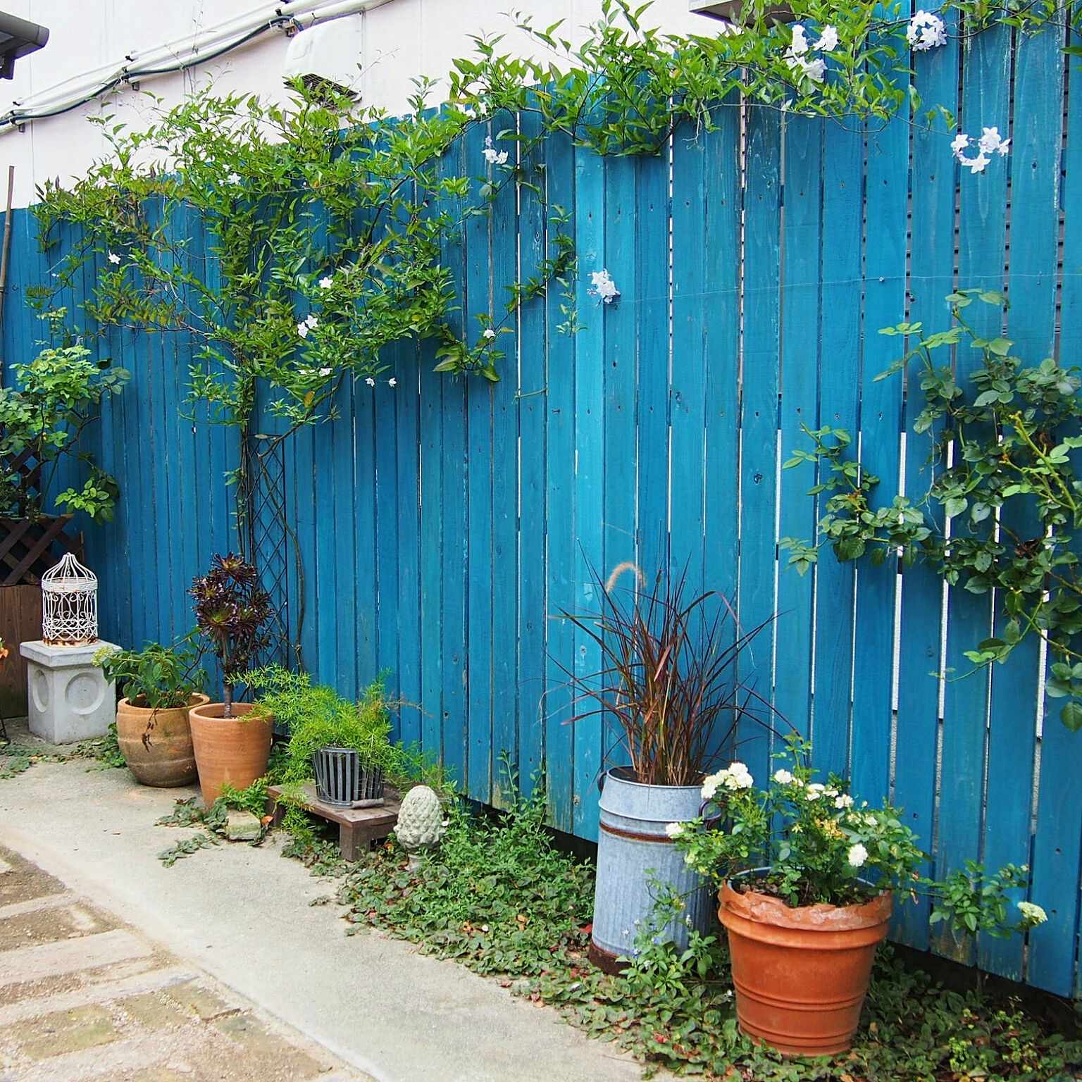 hakoniwaさん（Room No. 4625013）グリーンの植物が彩る、綺麗なブルーのウッドフェンス