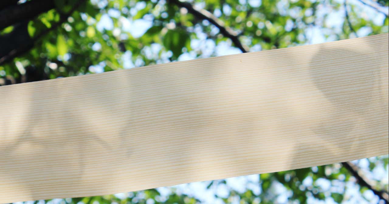 「木の紙」は厚さ0.1㎜以下にまで薄くスライスした木からつくられます。
