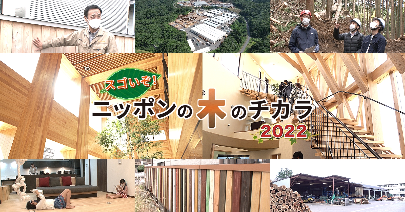 スゴいぞ！ニッポンの木のチカラ2021　▽これまでの概念を覆す木材革命の展開